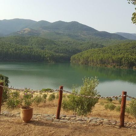 Relais De Tahla Hotel Aïn Bou Mahdi Eksteriør billede